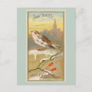 Search for bunting postcards Birds