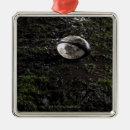 Search for grass ornaments Horizontal