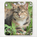 Search for brindle mousepads Pet
