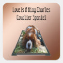 Search for cavalier stickers Dog