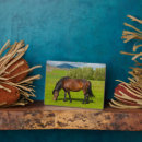 Recherche de cheval plaques Ranch