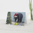 Search for black bear christmas cards Cute