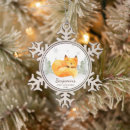 Search for fox ornaments Boy