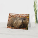 Recherche de marmottes vœux cartes Animaux