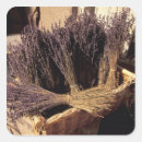 Search for provence stickers Purple