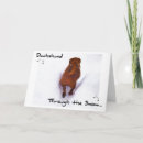 Search for dachshund christmas cards Humourous