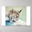 Search for bobcat posters Feline