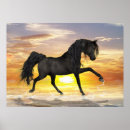 Recherche de chevaux posters Coucher de soleil