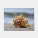Search for whelk Beach