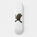 Search for the tortoise skateboards Turtle