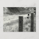 Search for solitude postcards Solitary