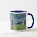 Recherche de petit pingouin tasses Oiseau