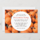 Search for the pumpkin patch photography Pumpkins