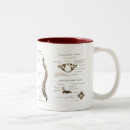 Recherche de épines tasses Squelette