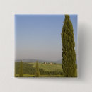 Recherche de cypr accessoires Paysage