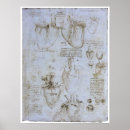 Search for human anatomy posters Heart