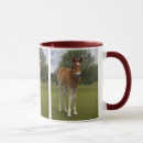 Recherche de poulain tasses Bébé
