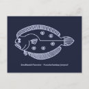 Search for animal prints postcards Sea life