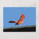 Search for roofed postcards Red