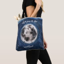 Search for to the moon and back Luna