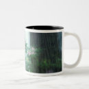 Recherche de le del tasses Californie
