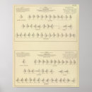 Search for statistics posters Black