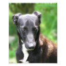 Recherche de tail posters Impression