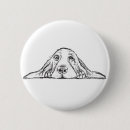Search for bassets buttons Hound