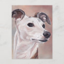 Recherche de whippet cartes postales Chiot