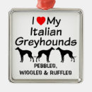 Search for i love my dog ornaments Heart