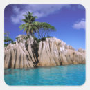 Search for seychelles stickers Palm tree