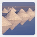 Search for wolf photo stickers Nature