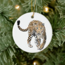 Search for animals ornaments Watercolor