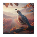 Search for quail tiles California