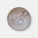Recherche de lapin de pâques magnets Drôle