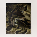 Recherche de serpent puzzles Animal