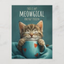 Recherche de chat féerique Fantaisiste