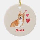 Search for welsh decorations ornaments Pembroke welsh corgi