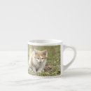 Recherche de kawaii tasses Nature