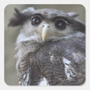 Search for owls head stickers Nature