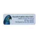 Recherche de hyacinthe Vintage