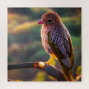 Search for keet Cute