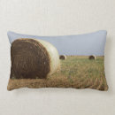 Search for danita delimont pillows Farm