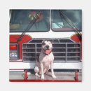 Recherche de argentino magnets Chien