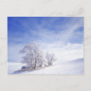 Recherche de givre cartes postales Neige