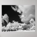 Search for tree key posters Black