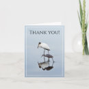 Search for reflections photo cards Birds