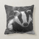 Search for badger pillows Animal