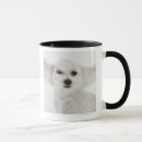 Search for wink face mugs Animals