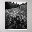Search for facilities posters Nature